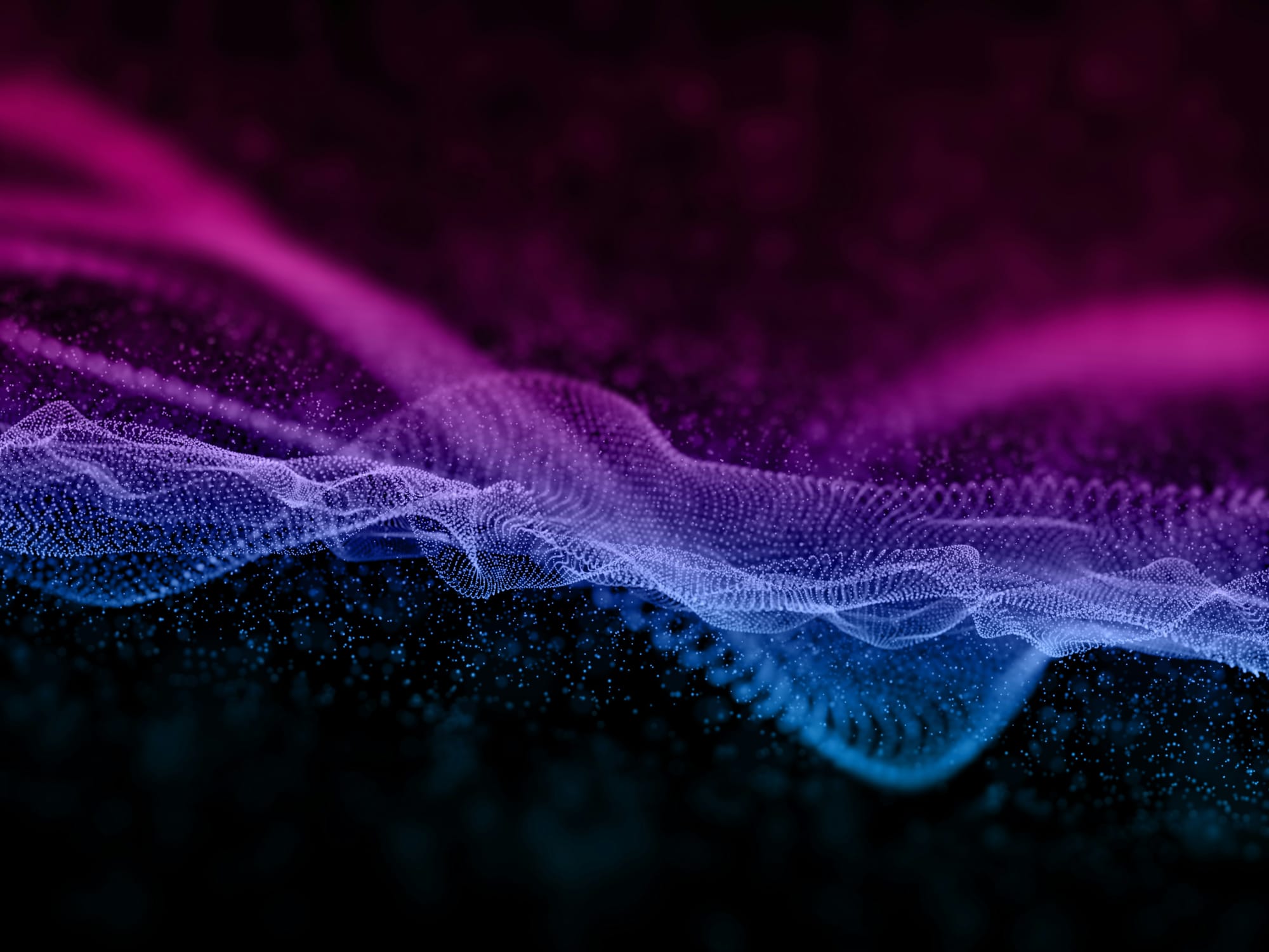 The Attention Mechanism: The Key to Understanding Linguistic Relationships
