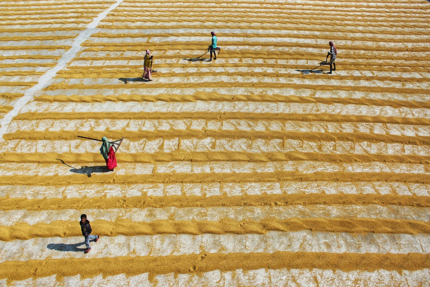 AI's Unmanaged Growth Could Reverse Decades of Development Convergence