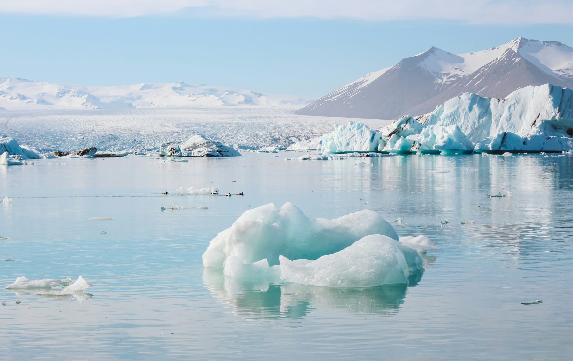 Researchers Use AI to Accelerate the Analysis of Antarctic Seafloor Images