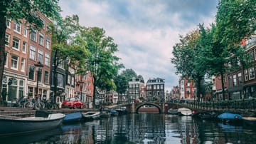 The Bias in AI: Why Did the Amsterdam Algorithm Fail?