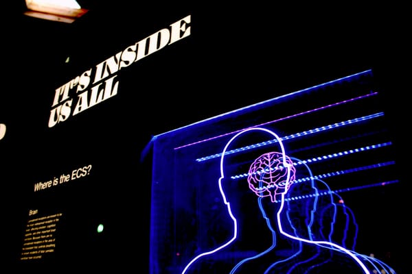 ChatGPT Addiction: A New Mental Health Crisis in the Digital Age