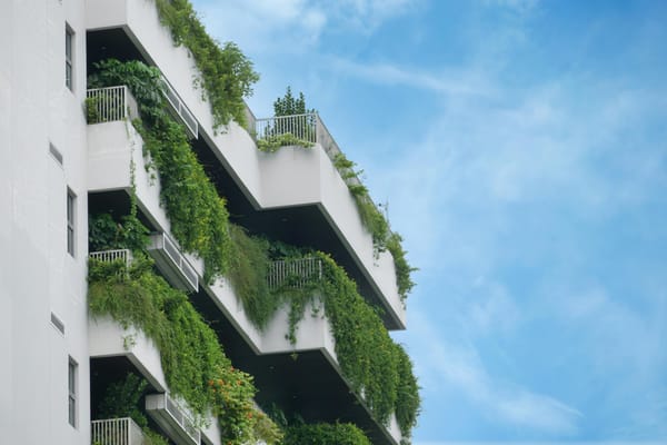 Hungarian-Developed AI Optimises Green Building Design