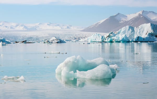 Researchers Use AI to Accelerate the Analysis of Antarctic Seafloor Images