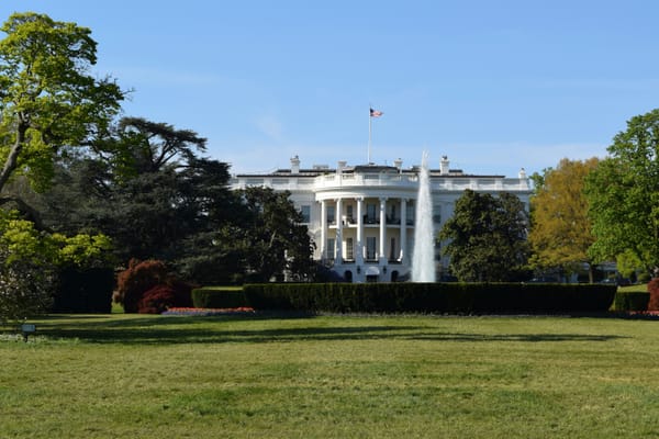 Trump Administration Drafts Executive Order to Block State AI Laws